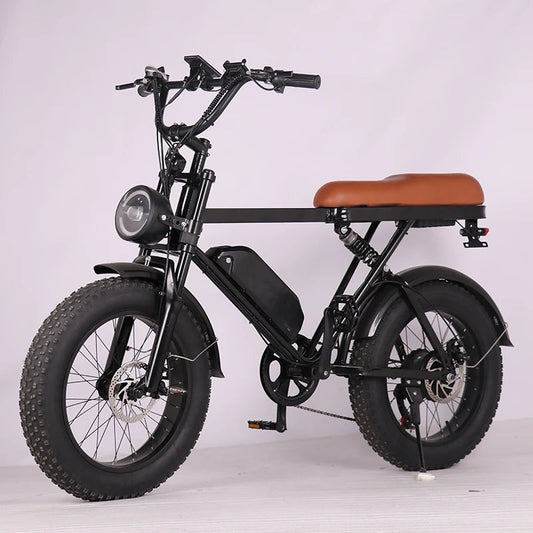 Adults 20inch 20*4.0 Beach Tire Hybrid Dirt Electric Mountain Bicycle 20inch Fat Tire Electric Bike 7 Sister Stars LLC