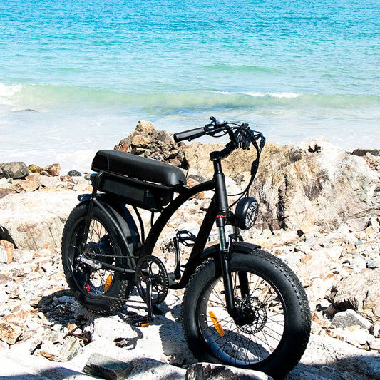 750w Fat Tyre Electric Bike Long Range Electric Bicycle Removable Battery Electric Mountain Bike E-bike 7 Sister Stars LLC