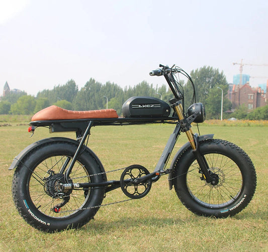 20 Inch Snow Tire 7 Speed Popular Model Cheap Foldable Electric Bike Ebike Sales Small Ebike 7 Sister Stars LLC