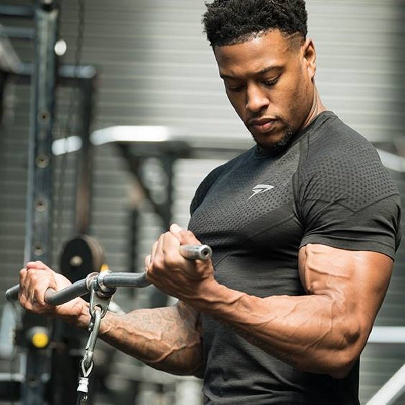 Fitness Brother Mens Running Sports Slim Fit Short Sleeve Quick Drying Clothes Milk Silk Quick Drying Training T shirt eprolo