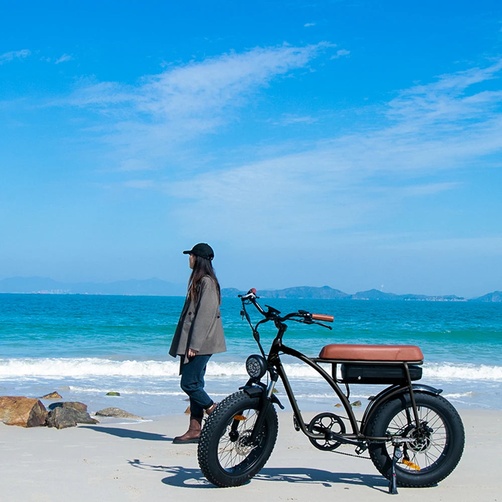 750w Fat Tyre Electric Bike Long Range Electric Bicycle Removable Battery Electric Mountain Bike E-bike 7 Sister Stars LLC