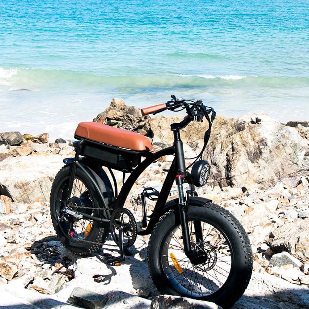 750w Fat Tyre Electric Bike Long Range Electric Bicycle Removable Battery Electric Mountain Bike E-bike 7 Sister Stars LLC