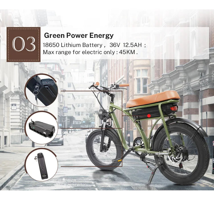 750w Fat Tyre Electric Bike Long Range Electric Bicycle Removable Battery Electric Mountain Bike E-bike 7 Sister Stars LLC