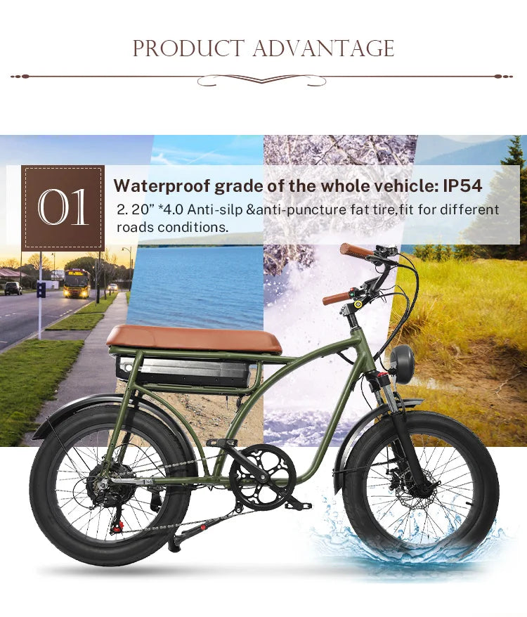 750w Fat Tyre Electric Bike Long Range Electric Bicycle Removable Battery Electric Mountain Bike E-bike 7 Sister Stars LLC