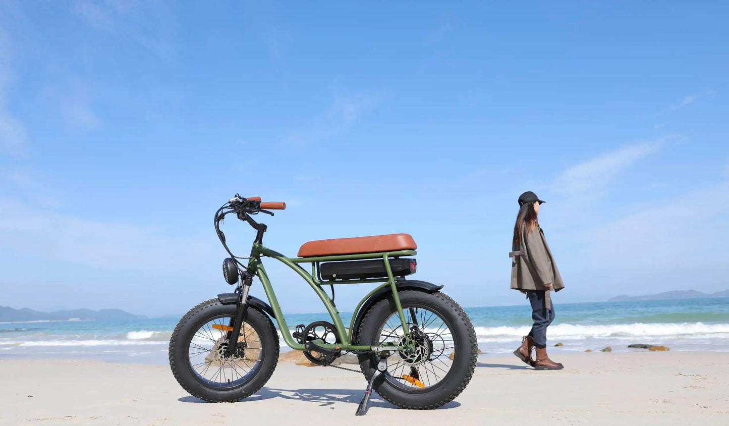 750w Fat Tyre Electric Bike Long Range Electric Bicycle Removable Battery Electric Mountain Bike E-bike 7 Sister Stars LLC
