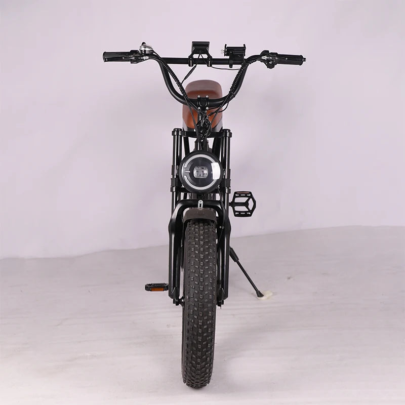 Adults 20inch 20*4.0 Beach Tire Hybrid Dirt Electric Mountain Bicycle 20inch Fat Tire Electric Bike 7 Sister Stars LLC