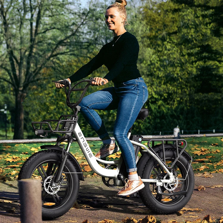 ENGWE L20 EU Warehouse Free Shipping Fat Tire Electric Moped Bike Adults Ebike Motorcycles 13Ah Lithium Battery Electric Bicycle 7 Sister Stars LLC