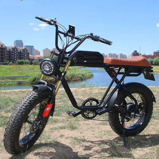 20" Electric Bicycle 750W 48V US EU Warehouse Fatbike with Suspension Fork Disc Brake and Ordinary Pedal 7 Sister Stars LLC