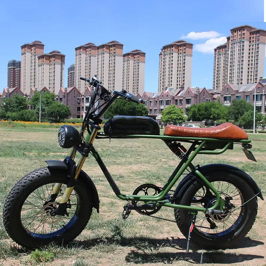 20" Electric Bicycle 750W 48V US EU Warehouse Fatbike with Suspension Fork Disc Brake and Ordinary Pedal 7 Sister Stars LLC