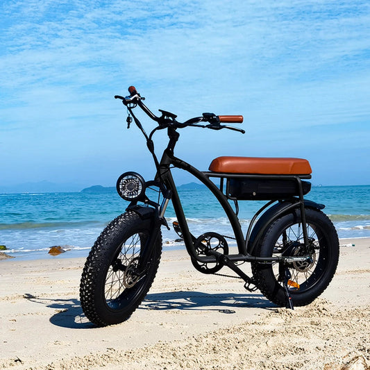 750w Fat Tyre Electric Bike Long Range Electric Bicycle Removable Battery Electric Mountain Bike E-bike 7 Sister Stars LLC