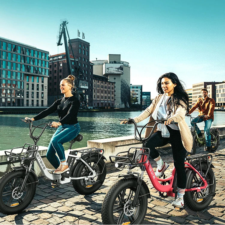 ENGWE L20 EU Warehouse Free Shipping Fat Tire Electric Moped Bike Adults Ebike Motorcycles 13Ah Lithium Battery Electric Bicycle 7 Sister Stars LLC