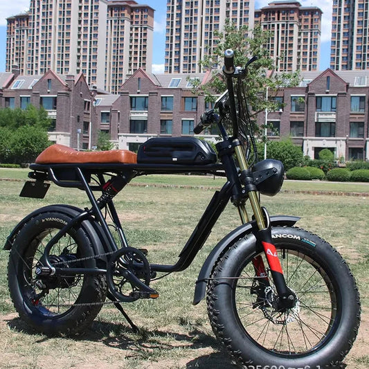 US Warehouse Ready Stock Long-Range Cheap E-bike 48V 750W Electric Bike City Electric Bicycle for Sale 7 Sister Stars LLC