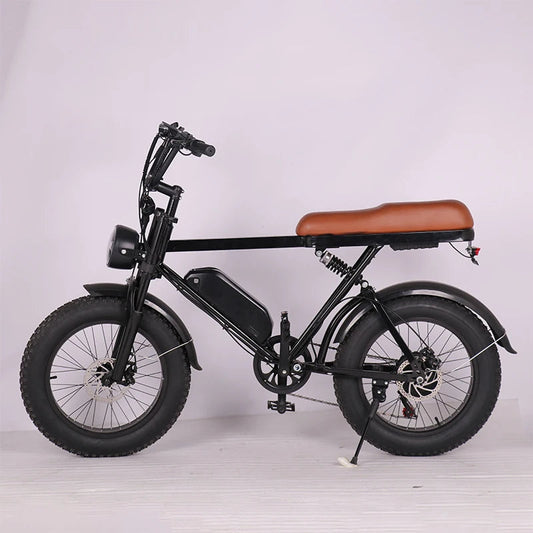 Adults 20inch 20*4.0 Beach Tire Hybrid Dirt Electric Mountain Bicycle 20inch Fat Tire Electric Bike 7 Sister Stars LLC