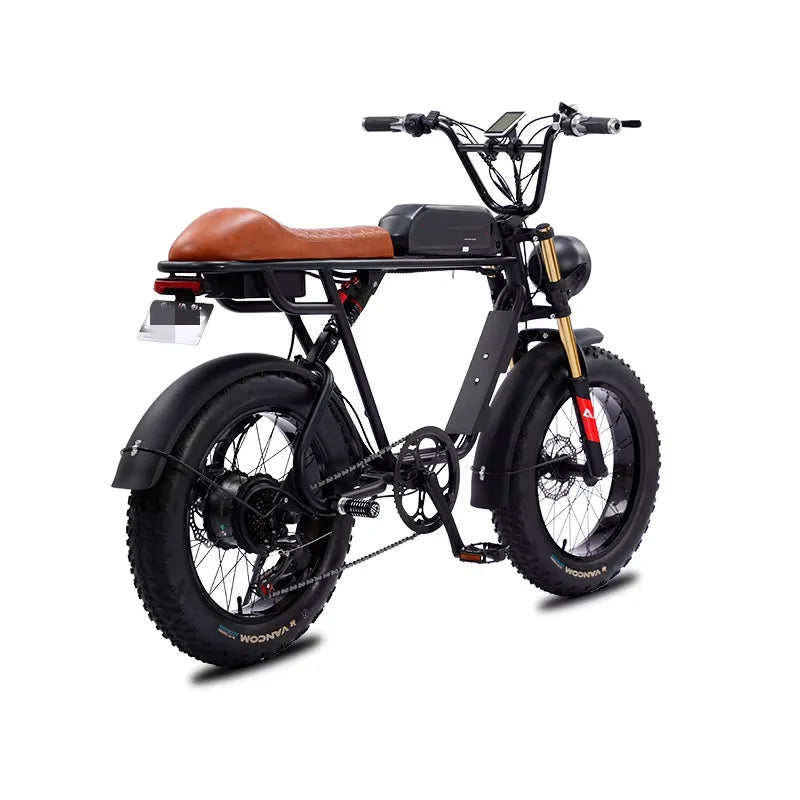 20" Electric Bicycle 750W 48V US EU Warehouse Fatbike with Suspension Fork Disc Brake and Ordinary Pedal 7 Sister Stars LLC