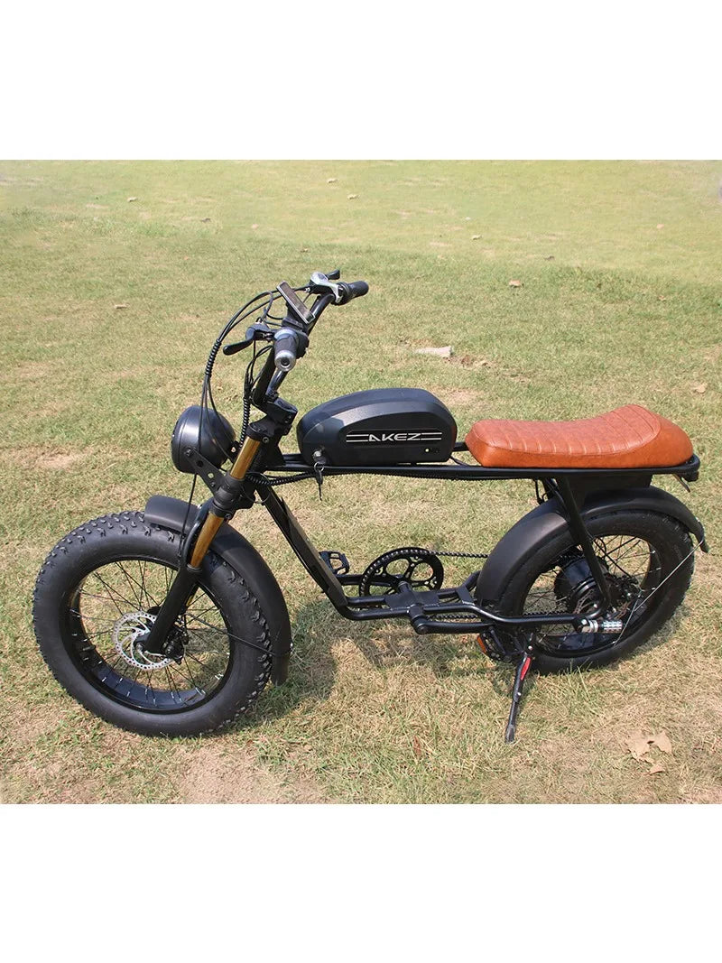 20 Inch Snow Tire 7 Speed Popular Model Cheap Foldable Electric Bike Ebike Sales Small Ebike 7 Sister Stars LLC