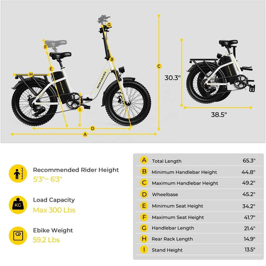 Ebike S3 750W 20Ah 48V Lithium Battery Electric Bicycle Hub Motor Adult Women's Electric Bicycle Suitable for Beach City 7 Sister Stars LLC