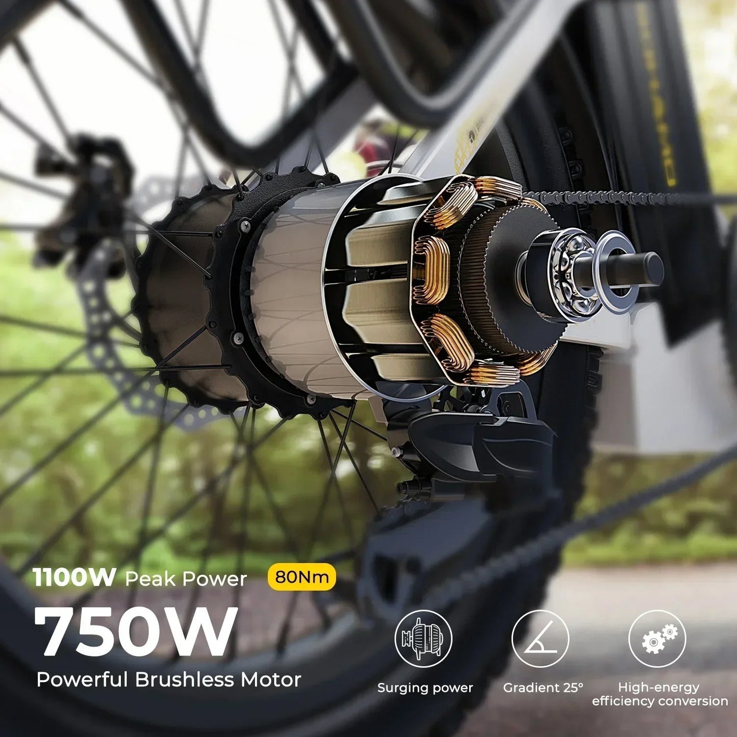 Ebike S3 750W 20Ah 48V Lithium Battery Electric Bicycle Hub Motor Adult Women's Electric Bicycle Suitable for Beach City 7 Sister Stars LLC