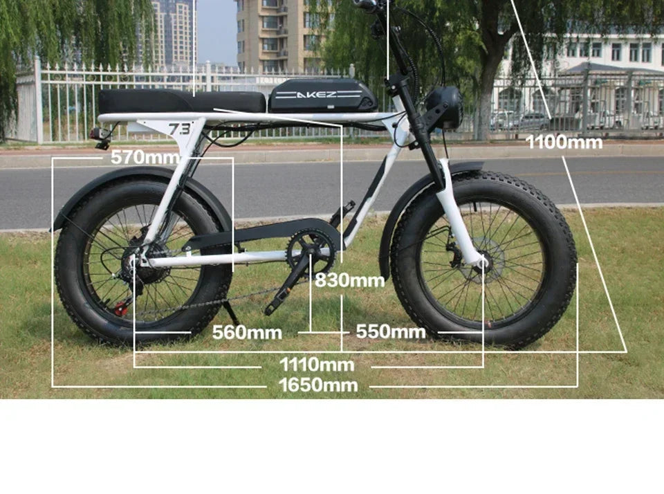 Electric Bike AKEZ 1500W Motor 48V 18AH Leisure commuting with Hydraulic Brake Electric Bicycle 20 inch mountain off-road E-bike 7 Sister Stars LLC