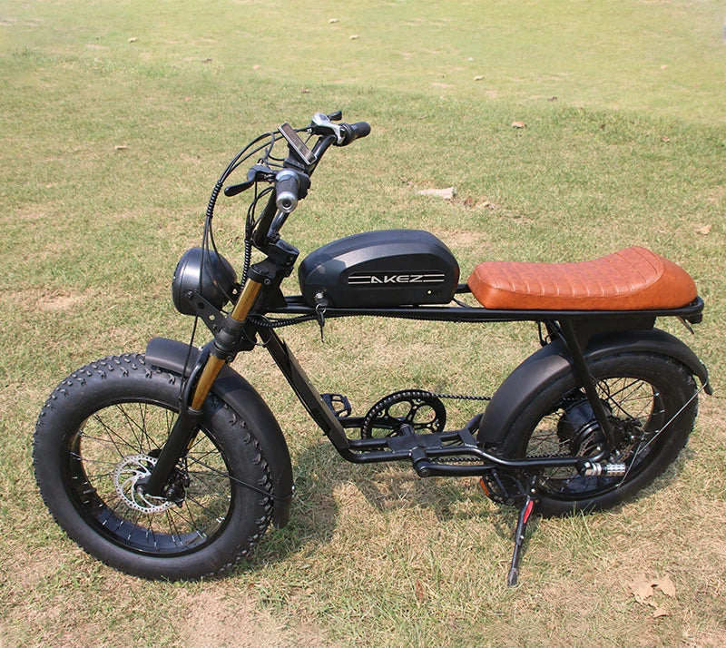 20 Inch Snow Tire 7 Speed Popular Model Cheap Foldable Electric Bike Ebike Sales Small Ebike 7 Sister Stars LLC