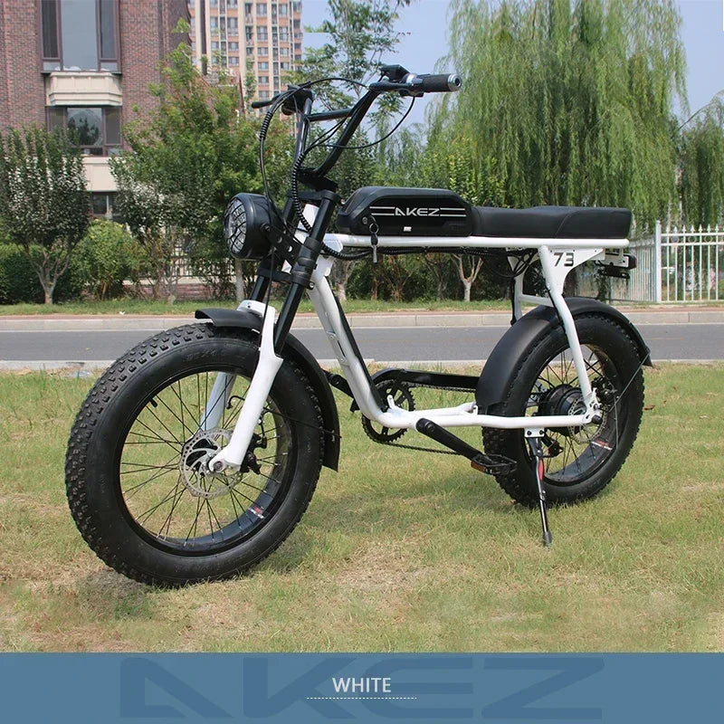 Electric Bike AKEZ 1500W Motor 48V 18AH Leisure commuting with Hydraulic Brake Electric Bicycle 20 inch mountain off-road E-bike 7 Sister Stars LLC