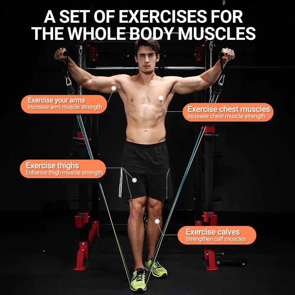 10-14pcs/Set Pull Rope Bodybuilding Resistance Bands Set Multi-function Tensioner Suit Muscle Training Belt Elastic Bands 7 Sister Stars LLC