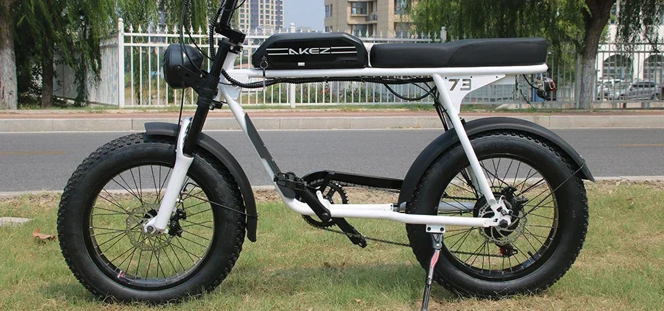 Electric Bike AKEZ 1500W Motor 48V 18AH Leisure commuting with Hydraulic Brake Electric Bicycle 20 inch mountain off-road E-bike 7 Sister Stars LLC